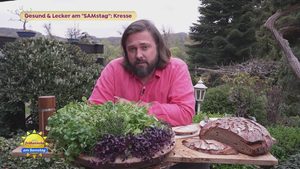 Kresse: frisch, grün und vitaminreich