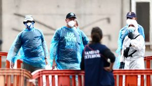 Hantavirus: Drei neue Fälle bestätigt