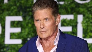 David Hasselhoff lächelt wieder