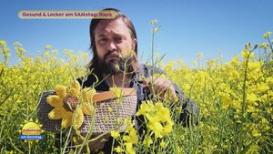 Raps: vielseitig und gesund