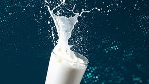 Kuhmilch-Nachfrage in Deutschland sinkt