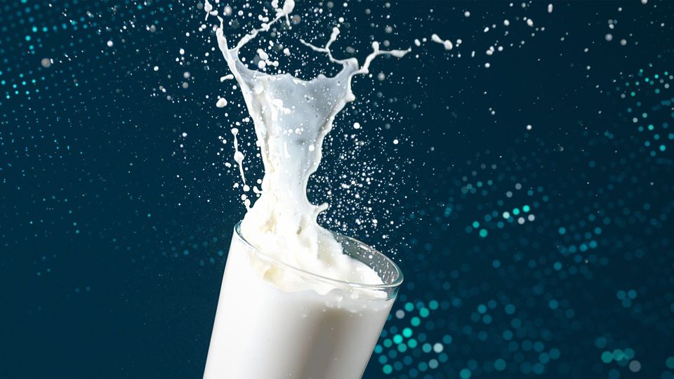 Kuhmilch-Nachfrage in Deutschland sinkt