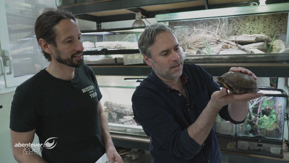 Nebenjob mit Biss: Alex bei den Reptilien