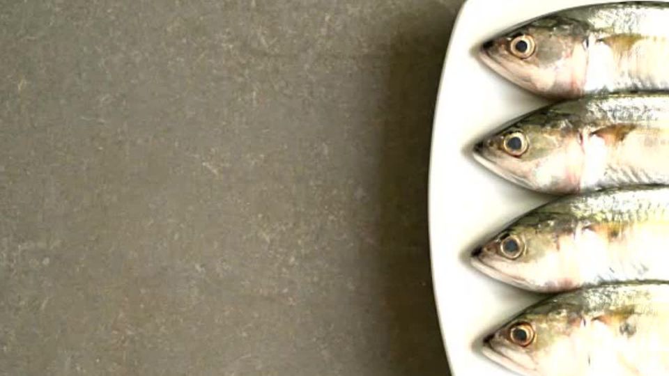 WWF-Check: Großteil des Fischs bedenklich