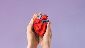 So viele Organspender fehlen aktuell