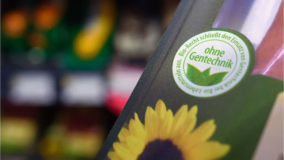 Gentechnik im Supermarkt: EU schwächt Regeln ab
