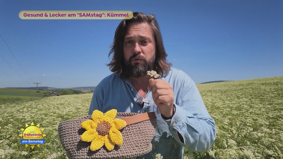 Alles über Kümmel
